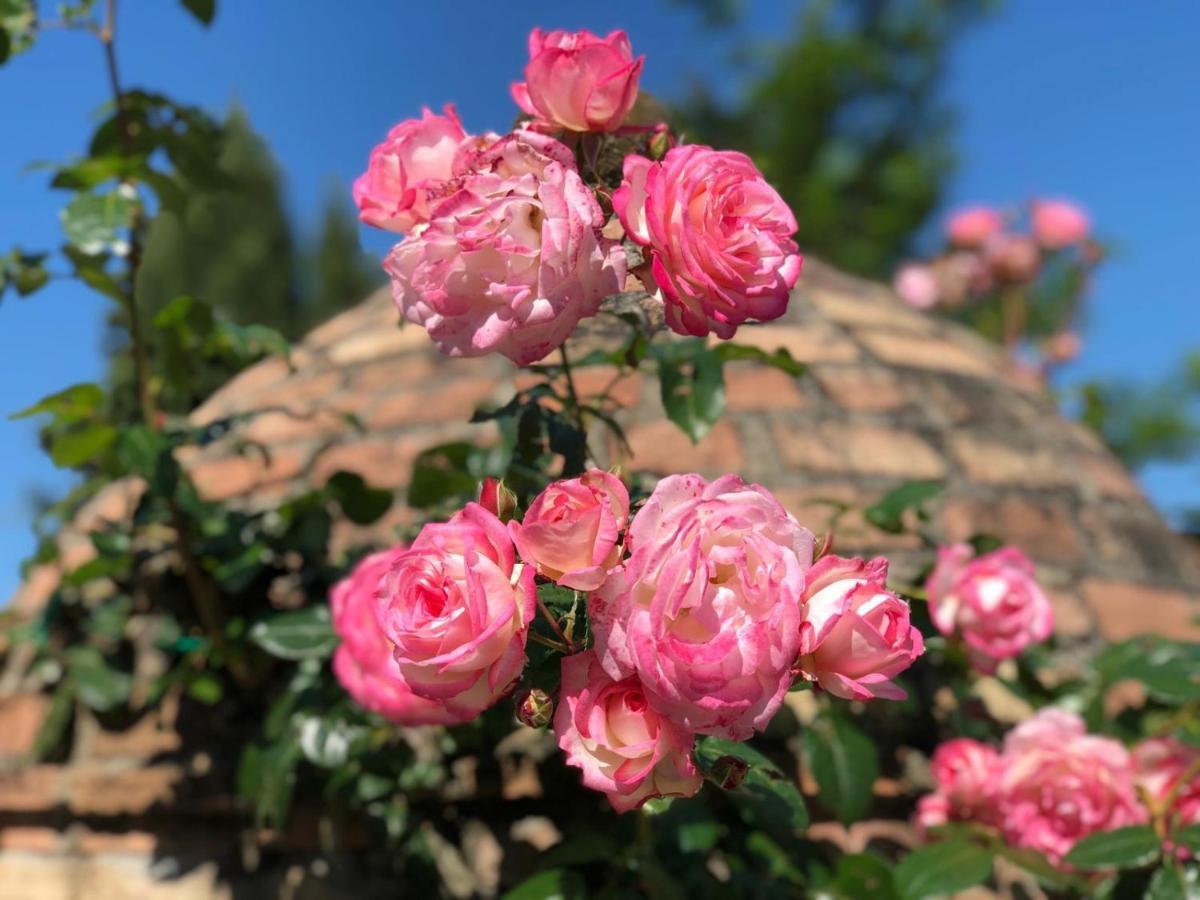Agriturismo Casale Giulia Вольтерра Екстер'єр фото